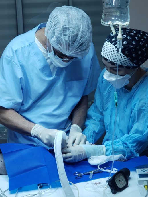eletroquimioterapia