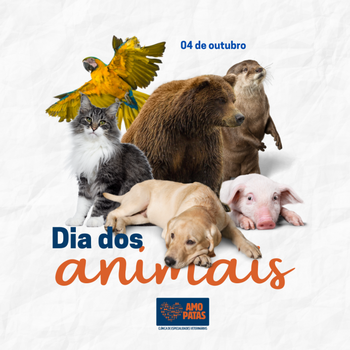 Dia dos animais