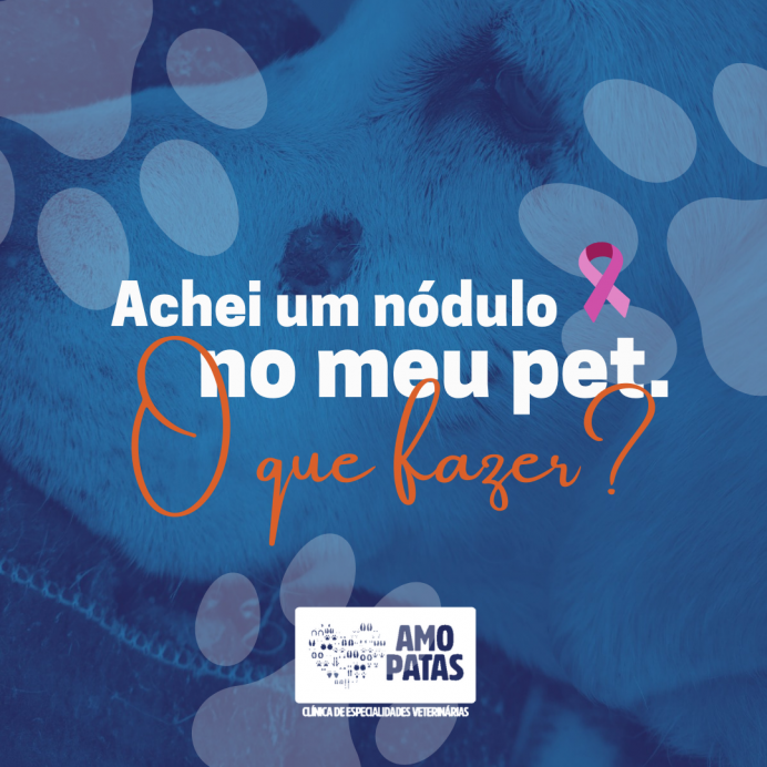 Achei um nódulo no meu pet o que fazer?