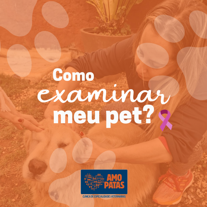 Como examinar meu pet ?